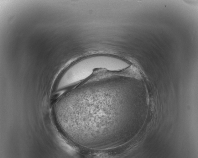 X0000081470395200701191811