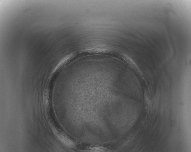 X0000081470396200701191811