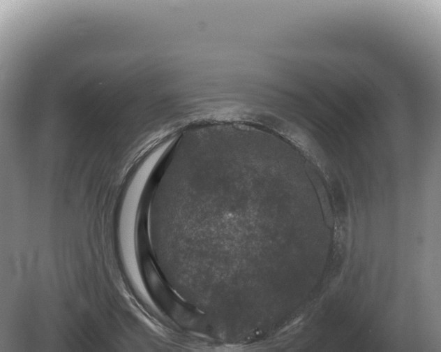 X0000081470397200701191811