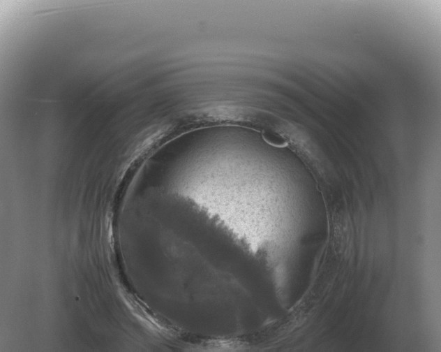 X0000081470398200701191811