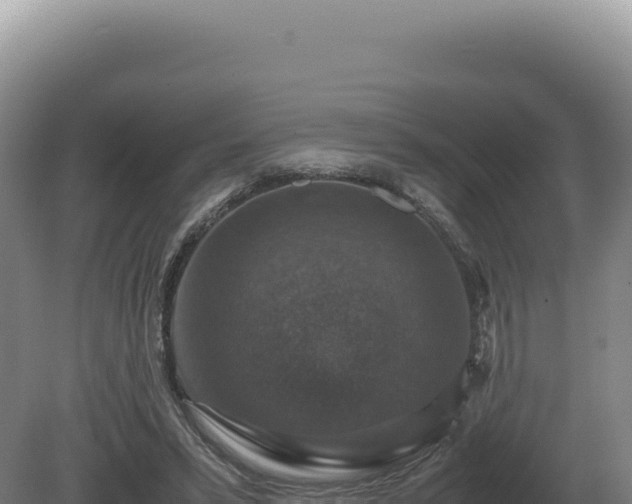 X0000081470399200701191811