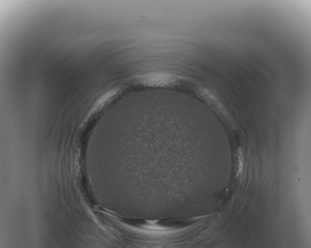 X0000081470400200701191811