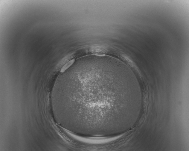 X0000081470401200701191811