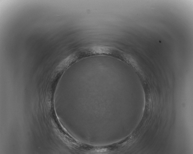 X0000081470402200701191811