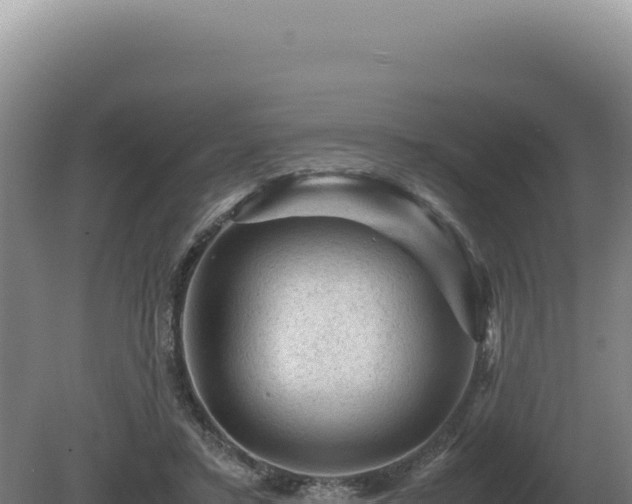 X0000081470403200701191811