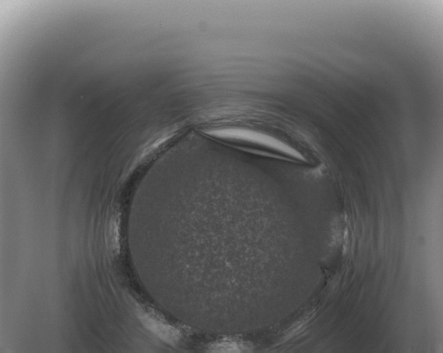 X0000081470404200701191811