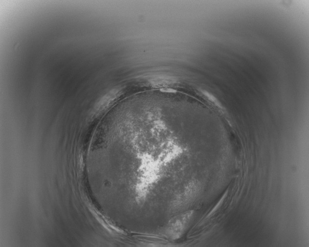 X0000081470405200701191811