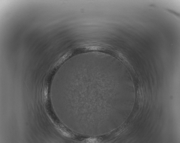 X0000081470406200701191811