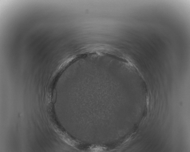 X0000081470407200701191811