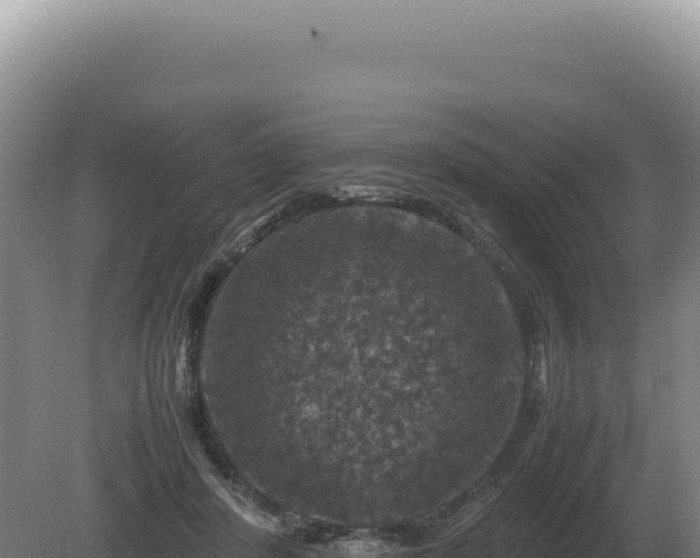 X0000081470408200701191811