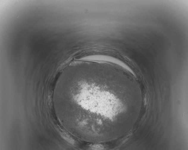 X0000081470409200701191811