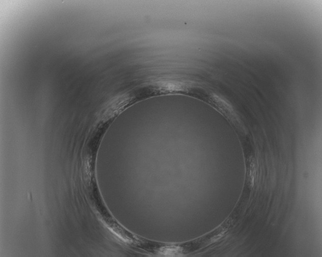 X0000081470410200701191811