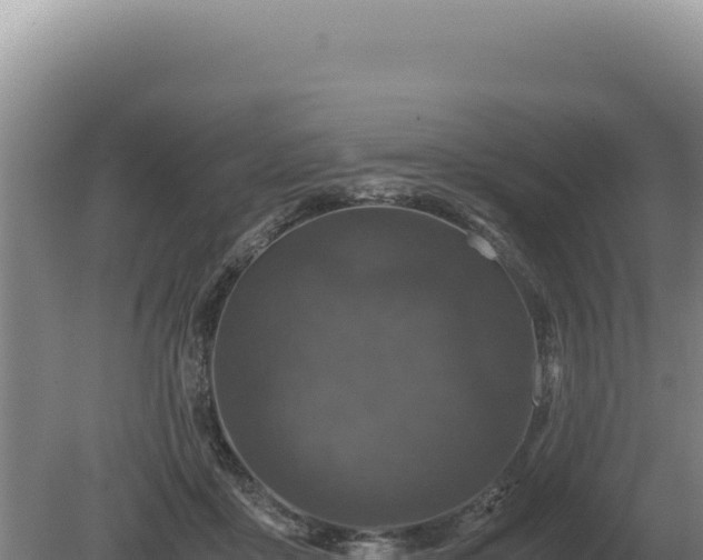 X0000081470411200701191811