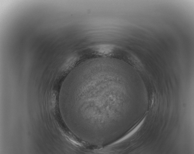 X0000081470412200701191811