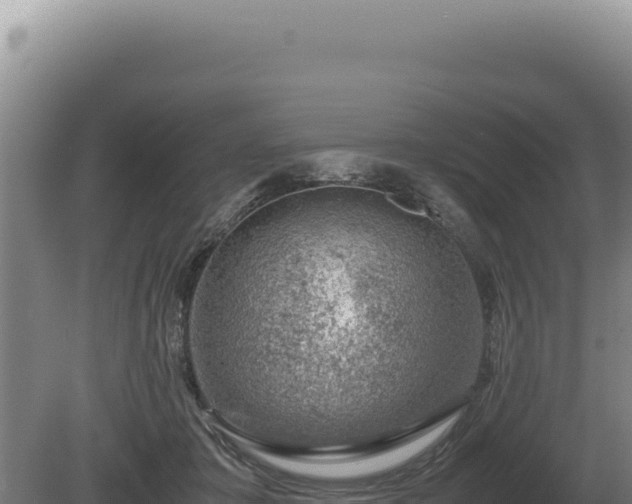 X0000081470413200701191811