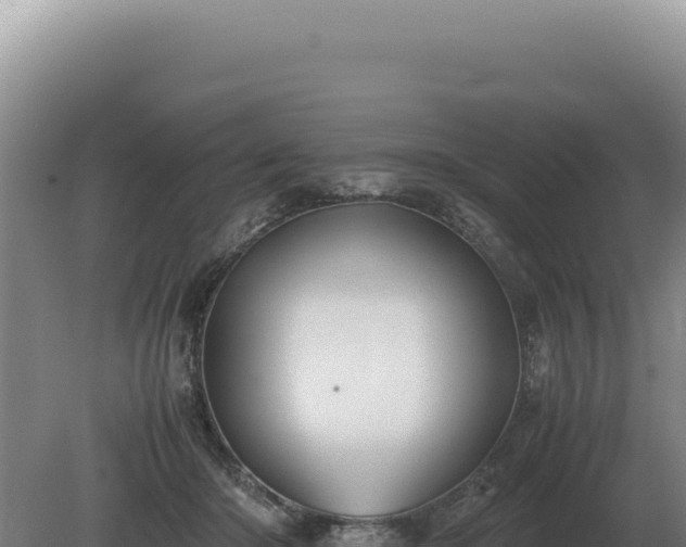 X0000081470414200701191811