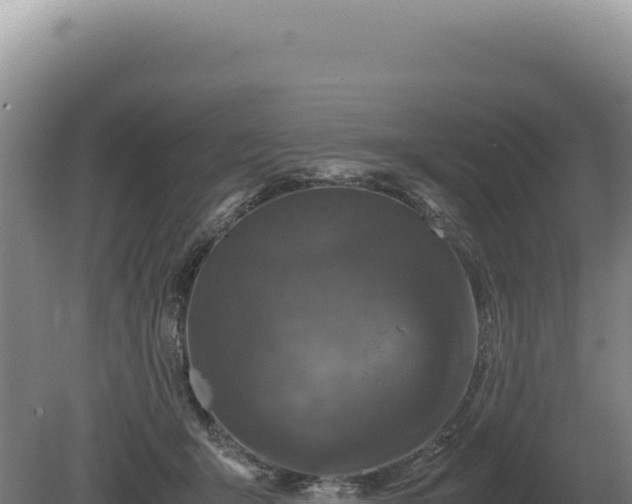 X0000081470415200701191811