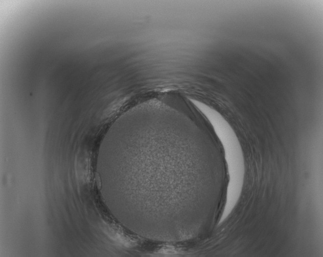 X0000081470416200701191811