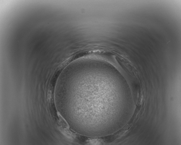 X0000081470417200701191811