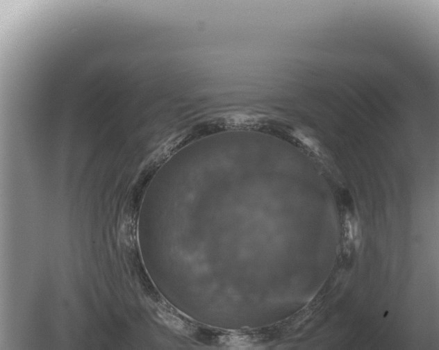 X0000081470419200701191811