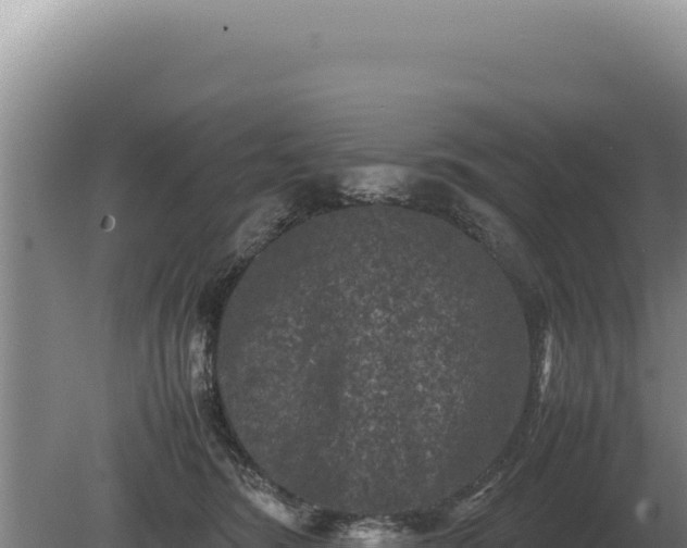 X0000081470420200701191811