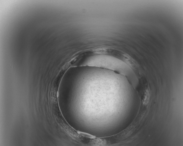 X0000081470421200701191811