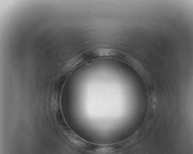 X0000081470422200701191811