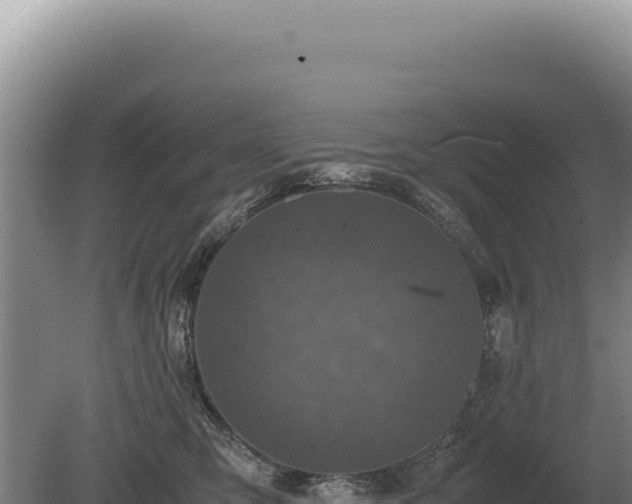 X0000081470423200701191811