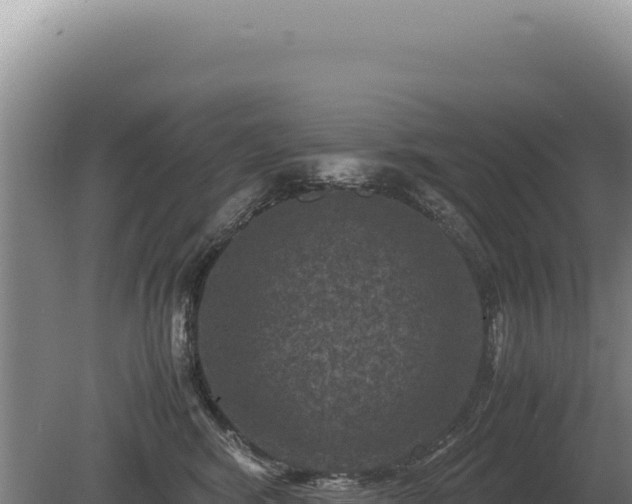 X0000081470424200701191811