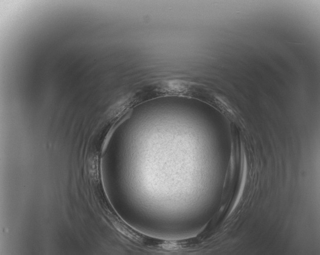 X0000081470425200701191811