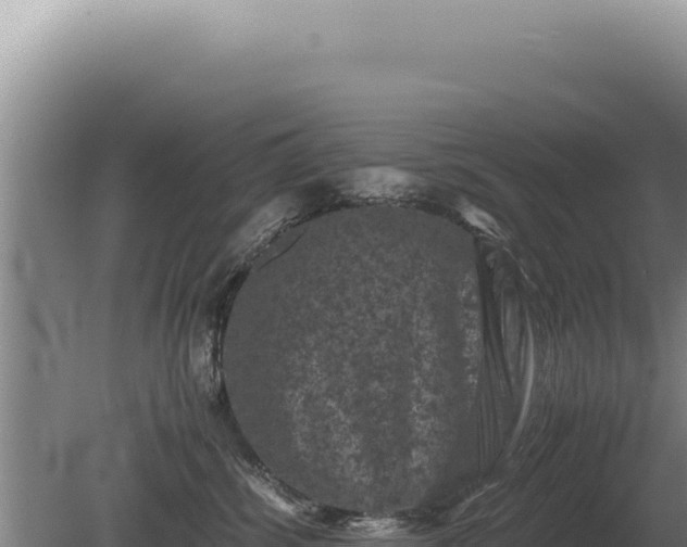 X0000081470428200701191811