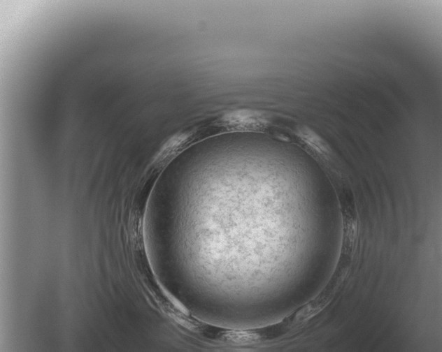 X0000081470429200701191810