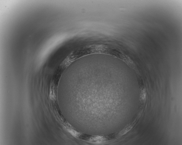 X0000081470431200701191810