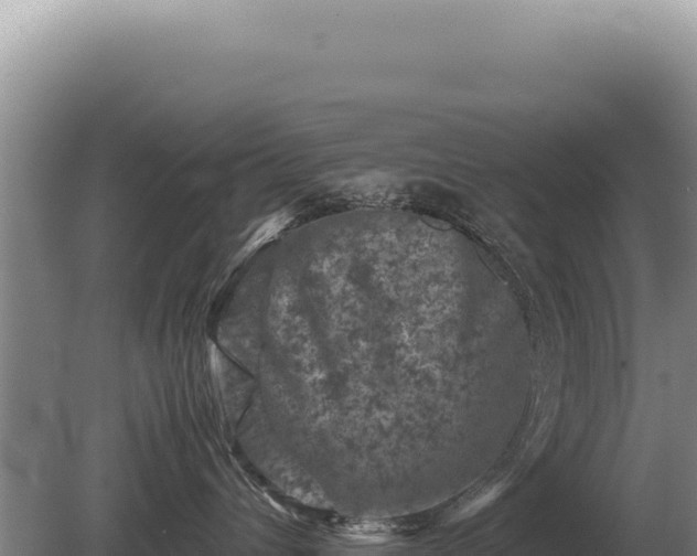 X0000081470432200701191810