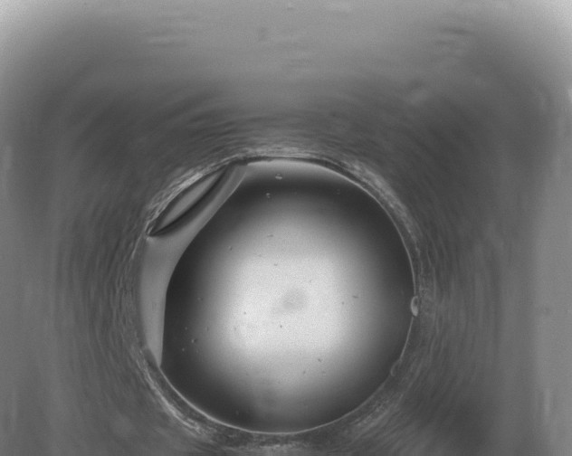 X0000081470433200701191810