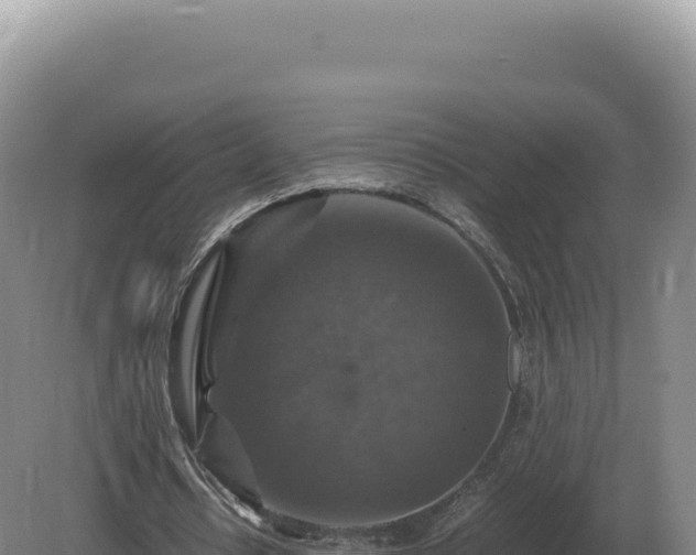 X0000081470434200701191810