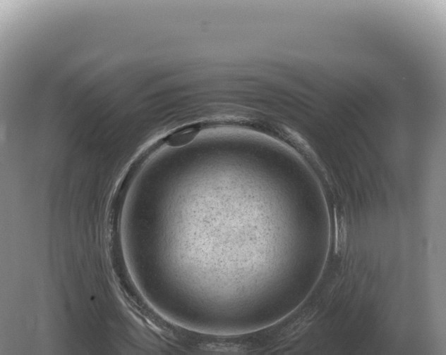 X0000081470435200701191810