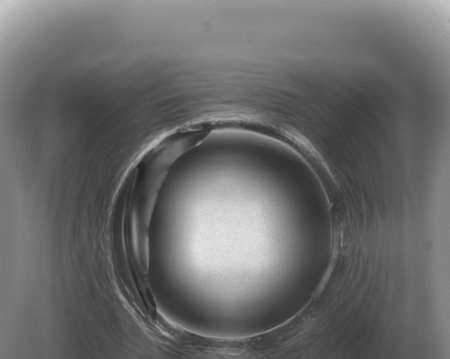 X0000081470436200701191810