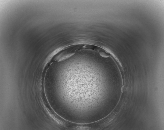 X0000081470437200701191810