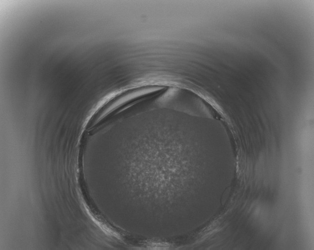 X0000081470438200701191810