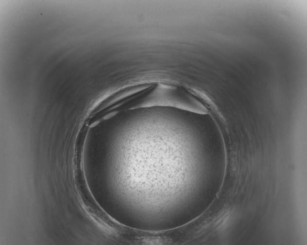 X0000081470439200701191810