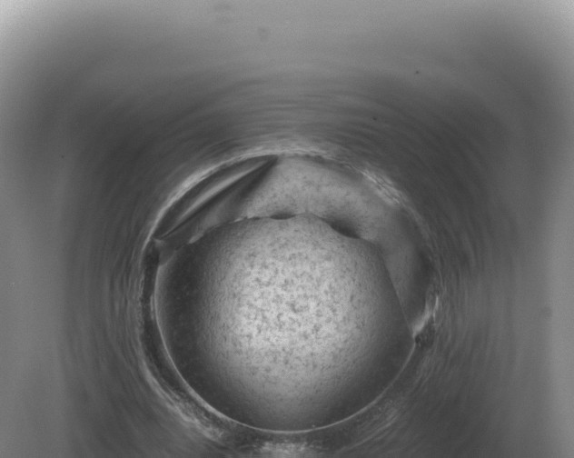 X0000081470440200701191810