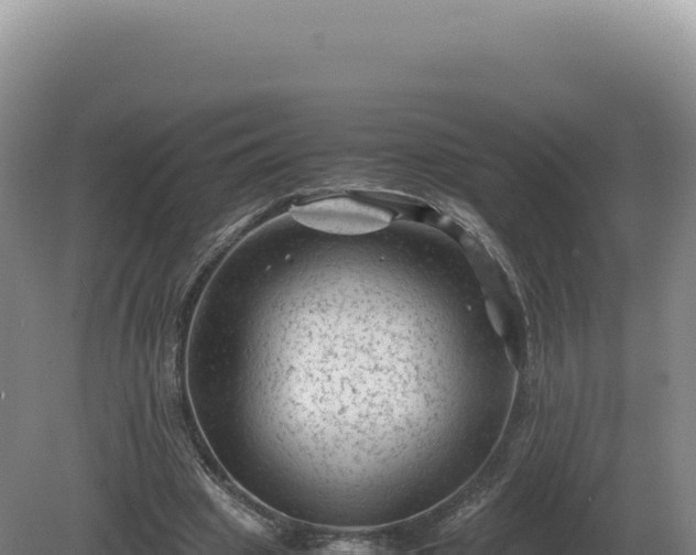 X0000081470441200701191810