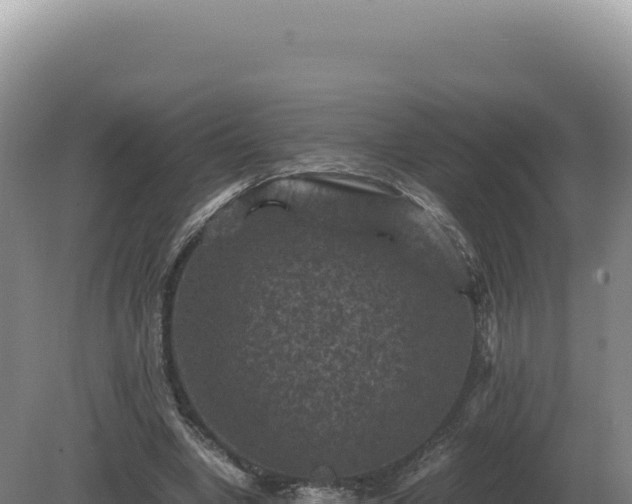 X0000081470442200701191810