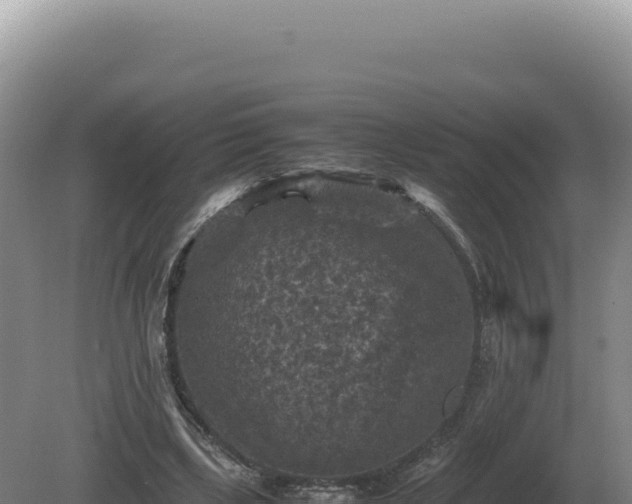 X0000081470443200701191810