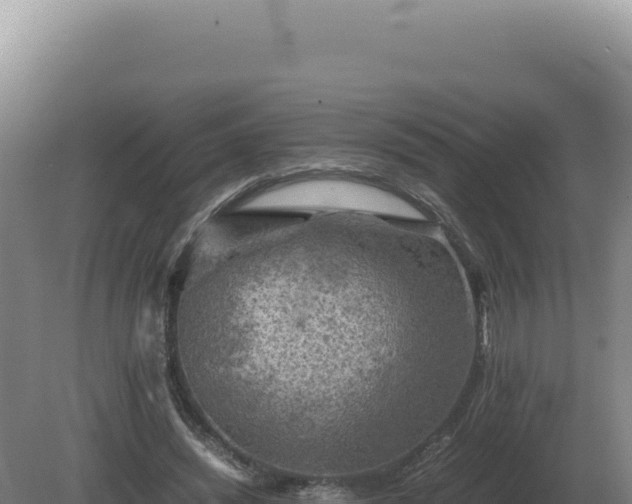 X0000081470444200701191810