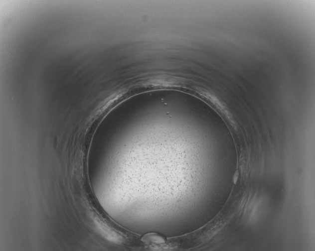 X0000081470445200701191810