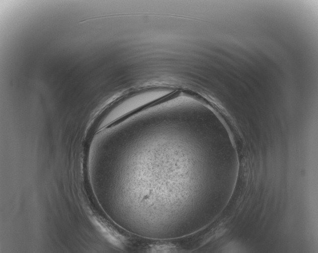 X0000081470446200701191810