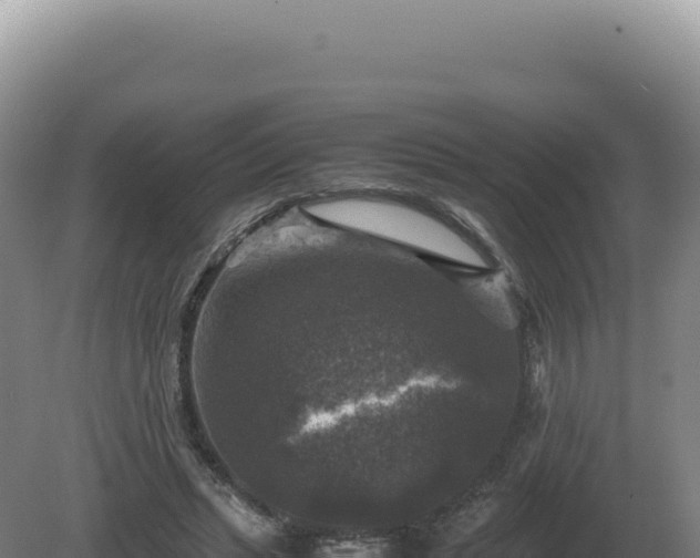 X0000081470447200701191810