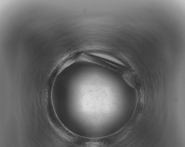 X0000081470448200701191810